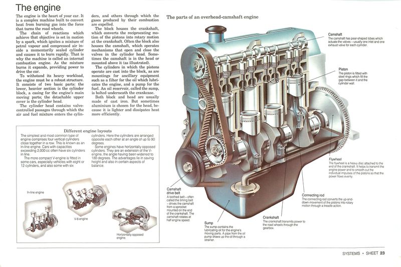 download haemonchus