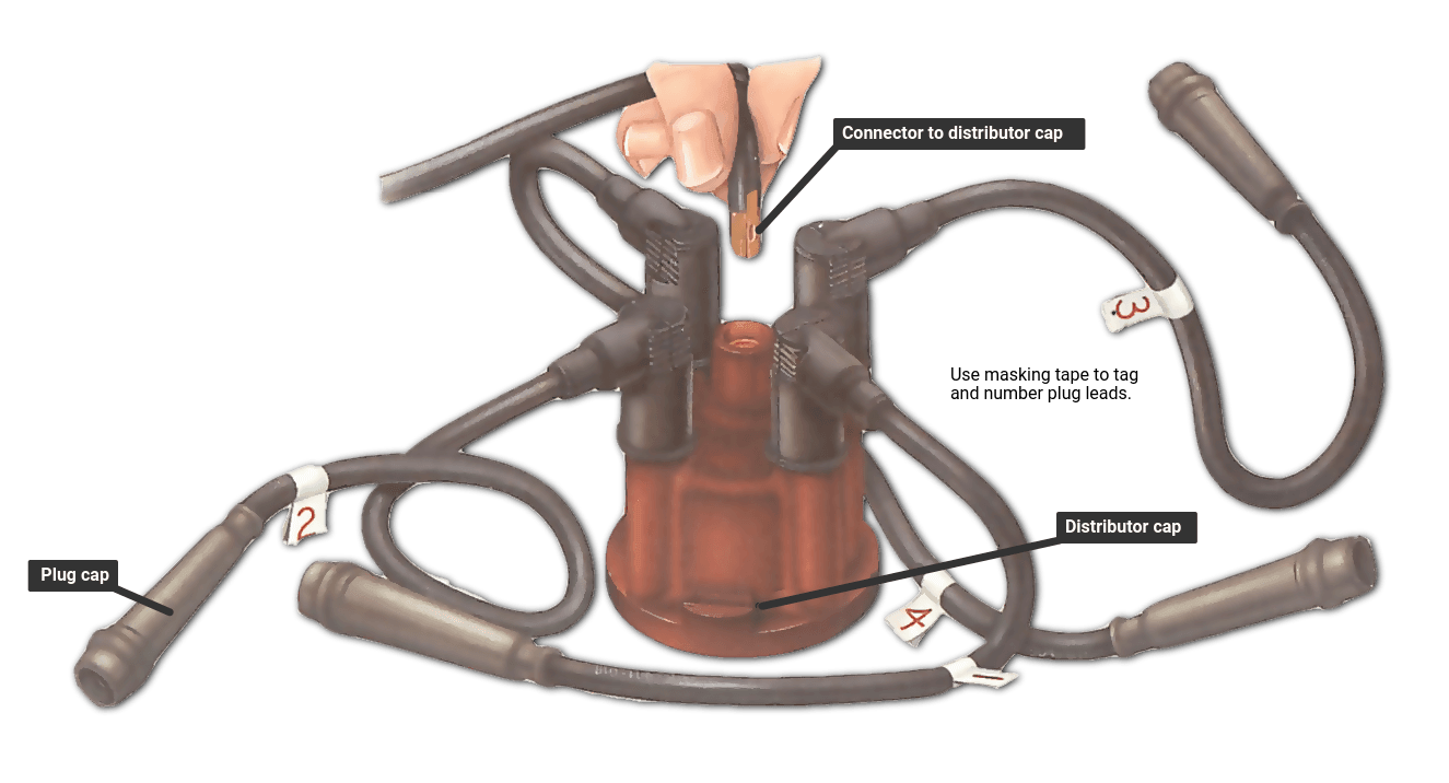 A distributor wiring coil and Vw Beetle