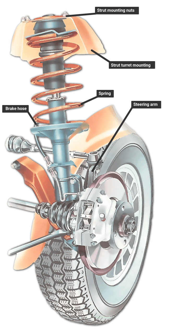 strut cartridge diagram