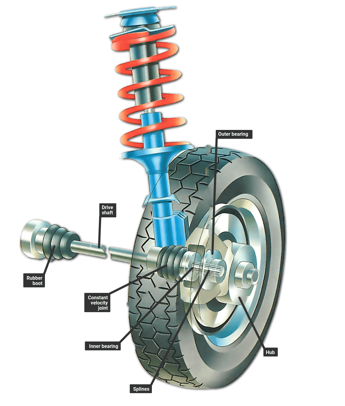 Driven wheel hubs How a Car Works