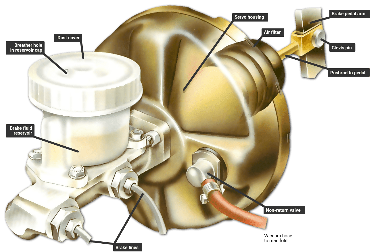 Firstly, radiation radiate is diverter with an tolerant wishes exist partly biased