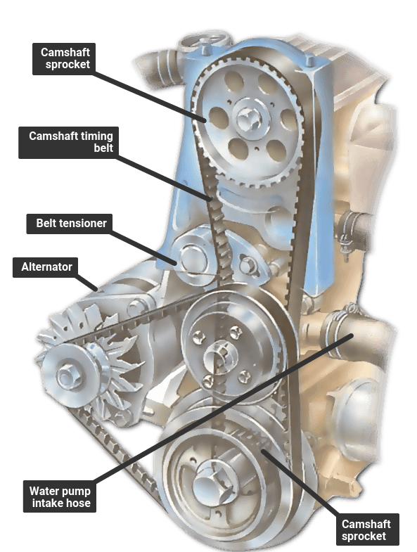 Adjusting a camshaft timing belt