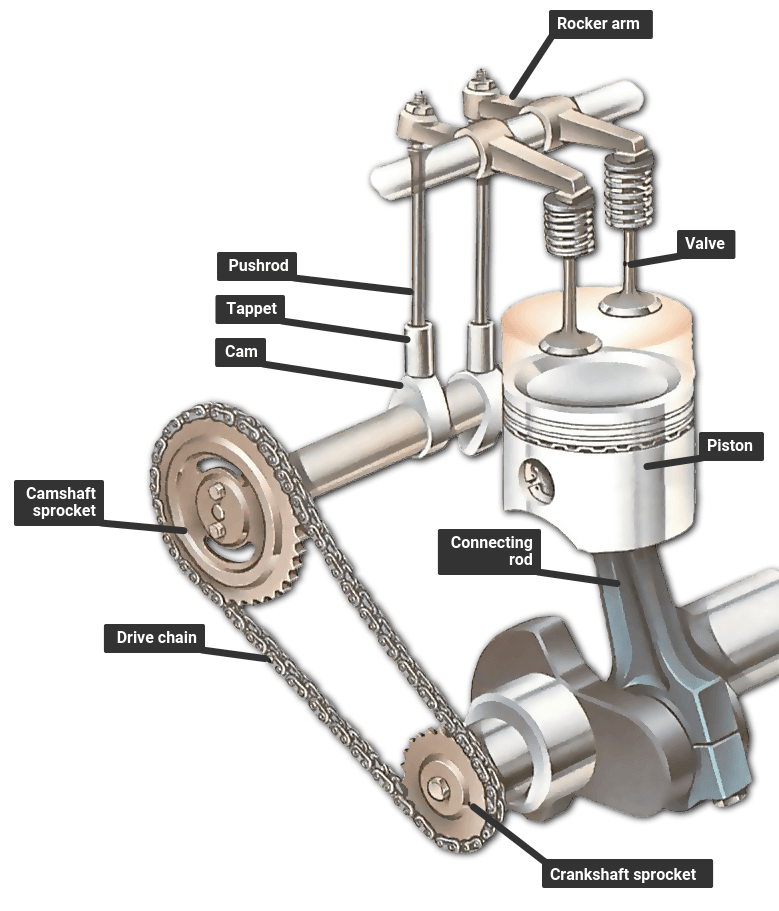 Verdwijnen Productiecentrum Ham The engine - how the valves open and close | How a Car Works